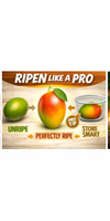 The Mango Masterclass: How to Ripen and Store Your Mangoes Like a Pro